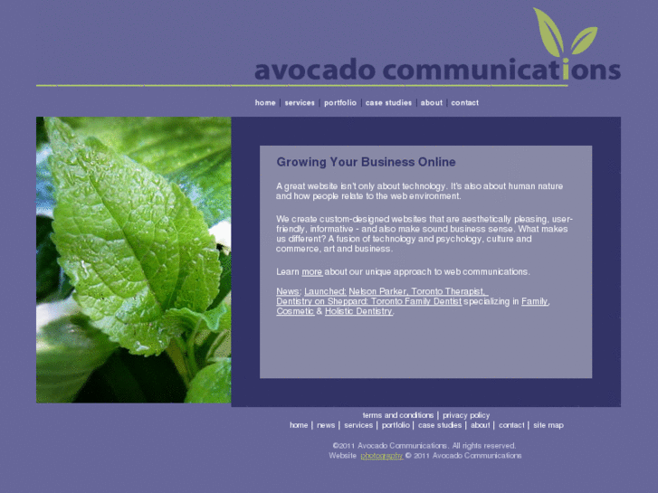 www.avacadocommunications.com