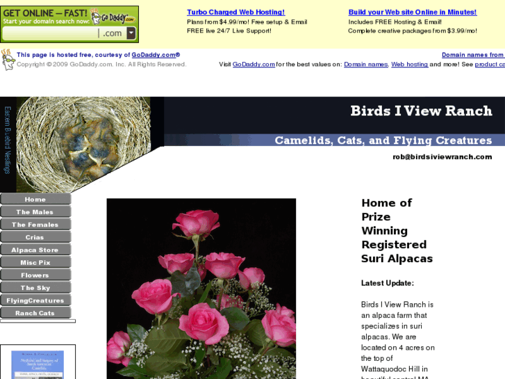 www.birds-i-view-ranch.com