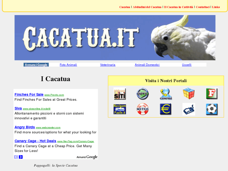 www.cacatua.it