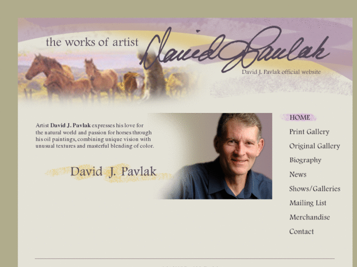 www.davidjpavlak.com