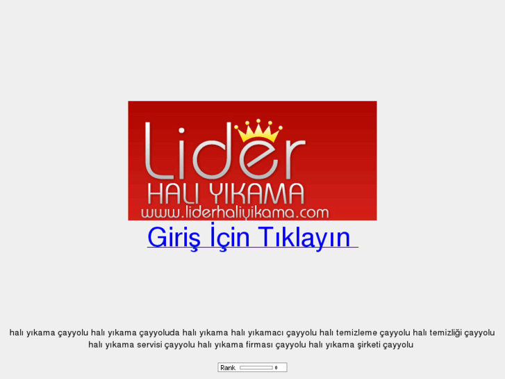 www.haliyikamacayyolu.com