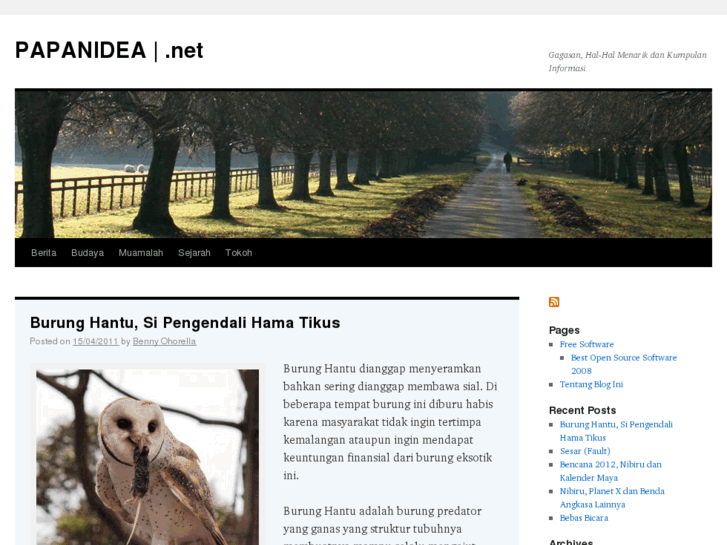 www.papanidea.net
