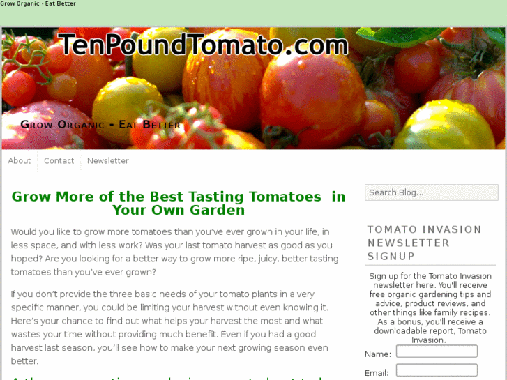 www.tenpoundtomato.com