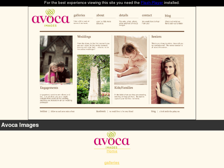 www.avocaimages.com