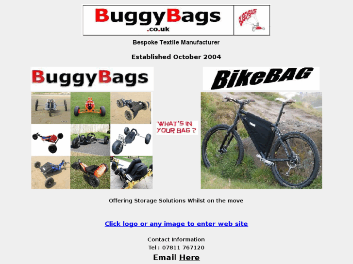 www.buggy-bag.com