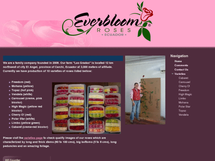 www.everbloomroses.com