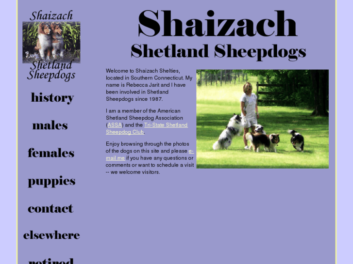 www.shaizachshelties.com