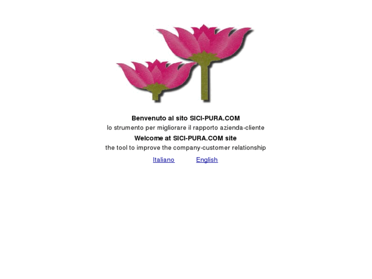www.sici-pura.com