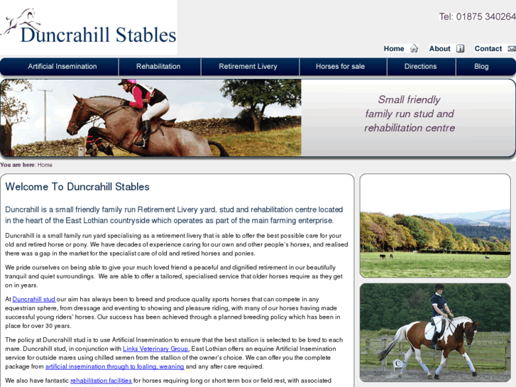 www.duncrahillstud.co.uk