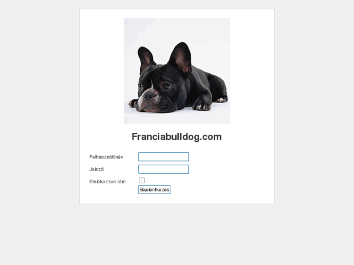 www.franciabulldog.com