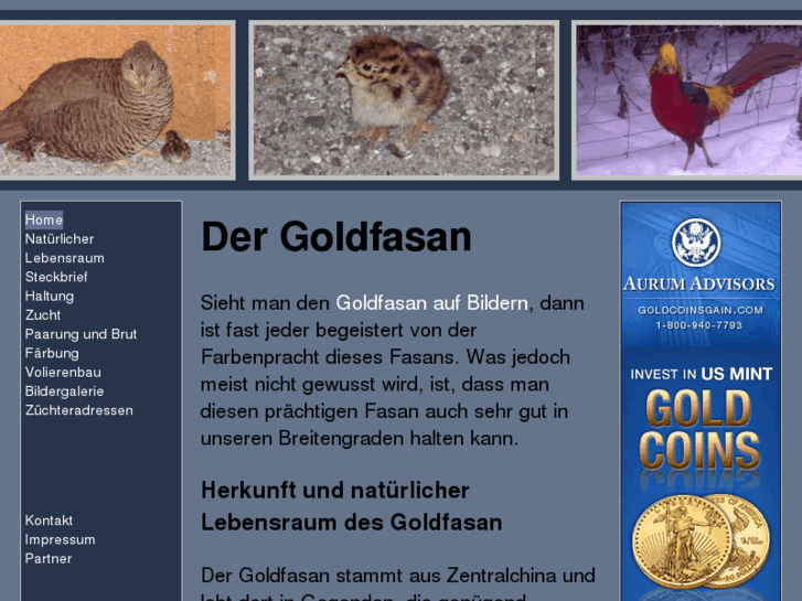 www.goldfasan.org