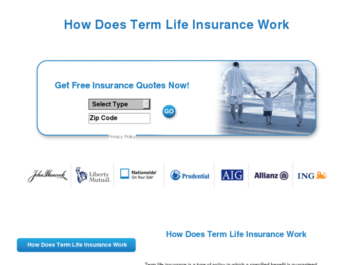 www.howdoestermlifeinsurancework.com