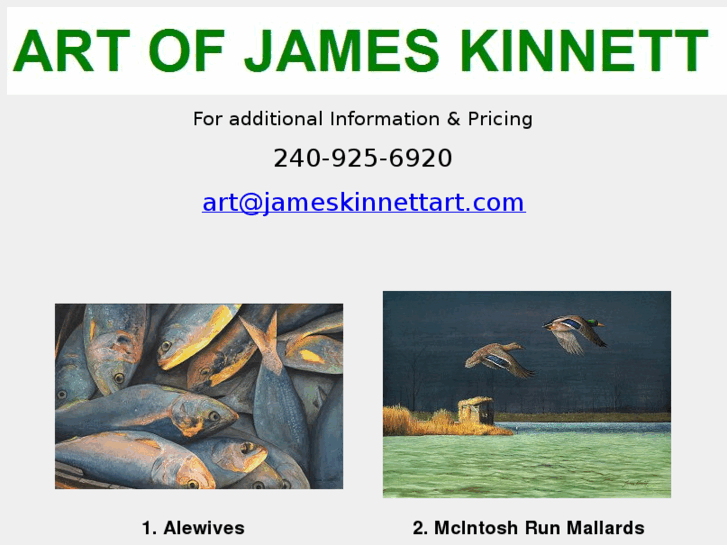 www.jameskinnettart.com