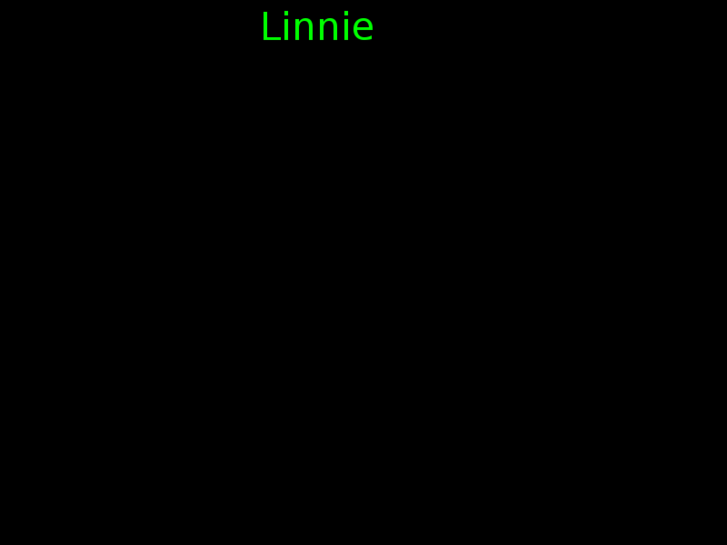 www.linnielou.com