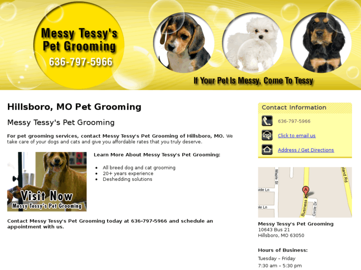 www.messytessyspetgrooming.net