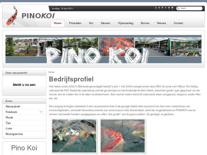 www.pinokoi.nl