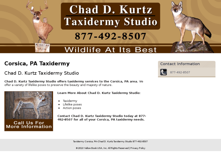 www.chaddkurtztaxidermystudio.com