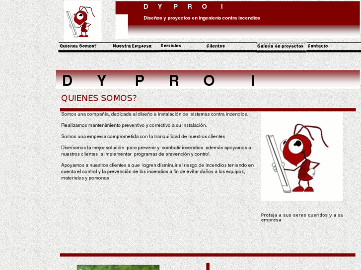 www.dyproi.com