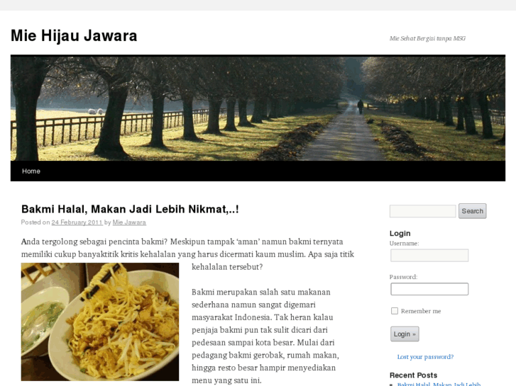 www.miehijaujawara.com