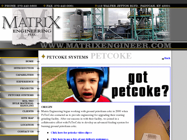 www.petcoke.biz