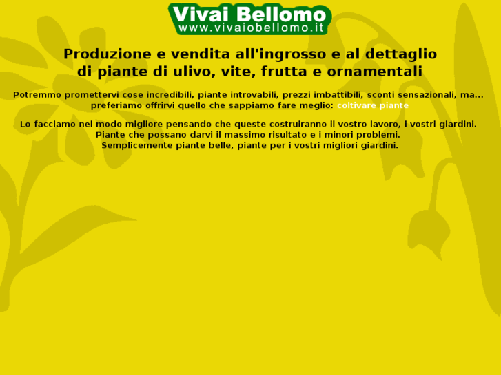 www.vivaiobellomo.it