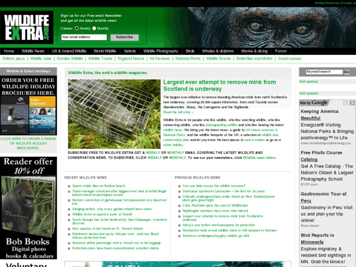 www.wildlife-news.com