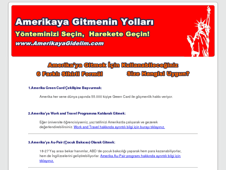 www.amerikayagidelim.com