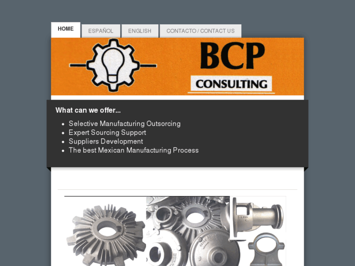 www.bcp-consulting.net