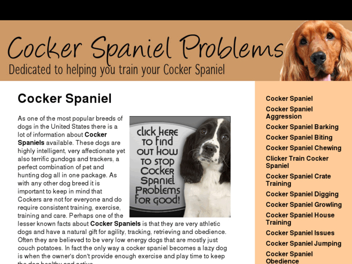 www.cockerspanielproblems.org