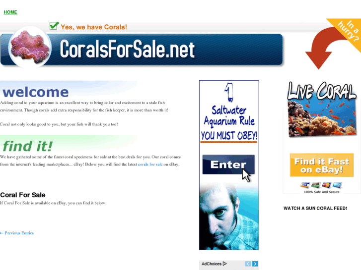 www.coralsforsale.net