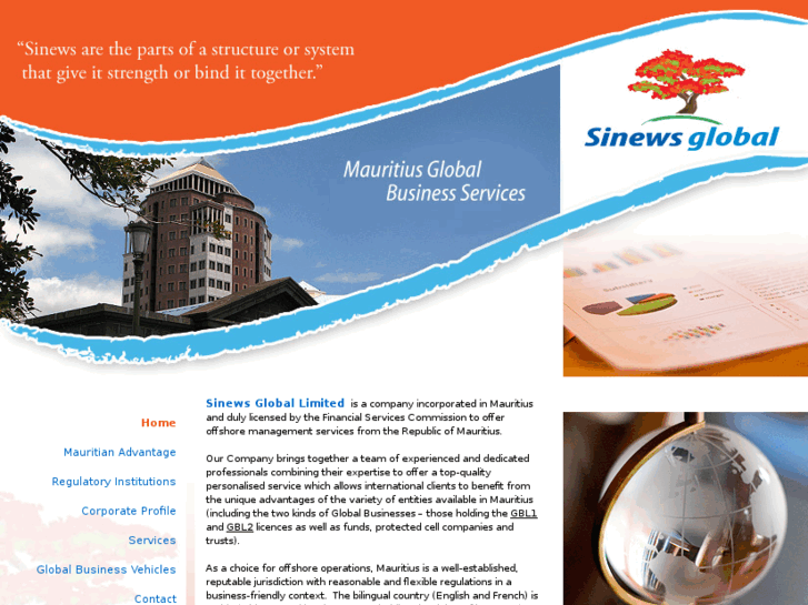 www.sinewsglobal.com