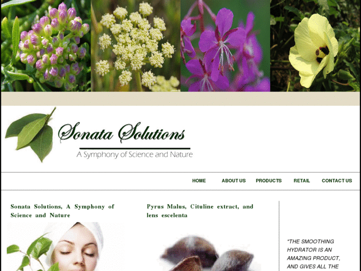 www.sonata-solutions.com