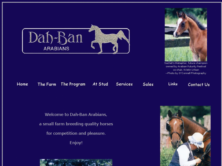 www.dahbanarabians.com