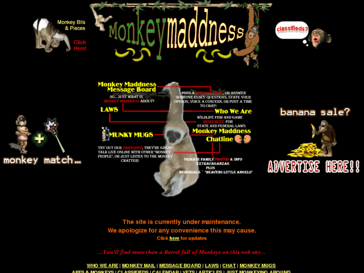www.monkeymaddness.com