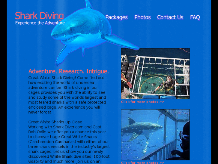 www.sharkdiving.com