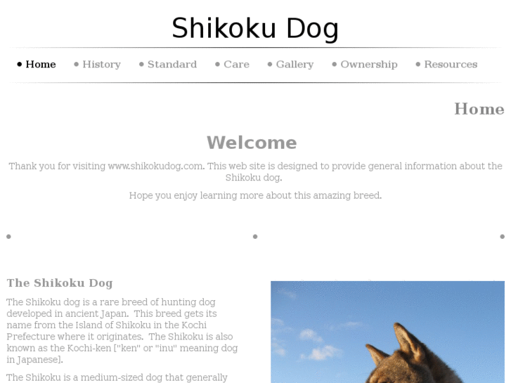 www.shikokudog.com