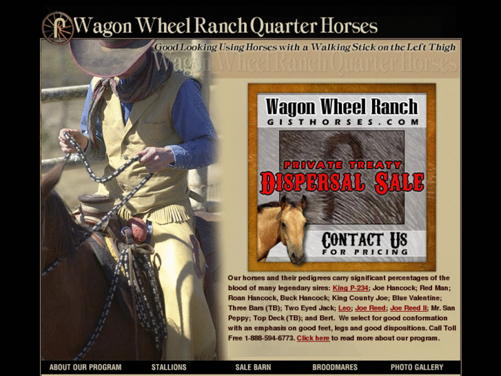 www.wwrqtrhorses.com