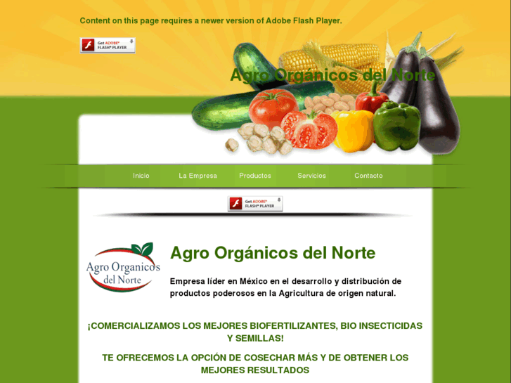 www.agrorganicodelnorte.com