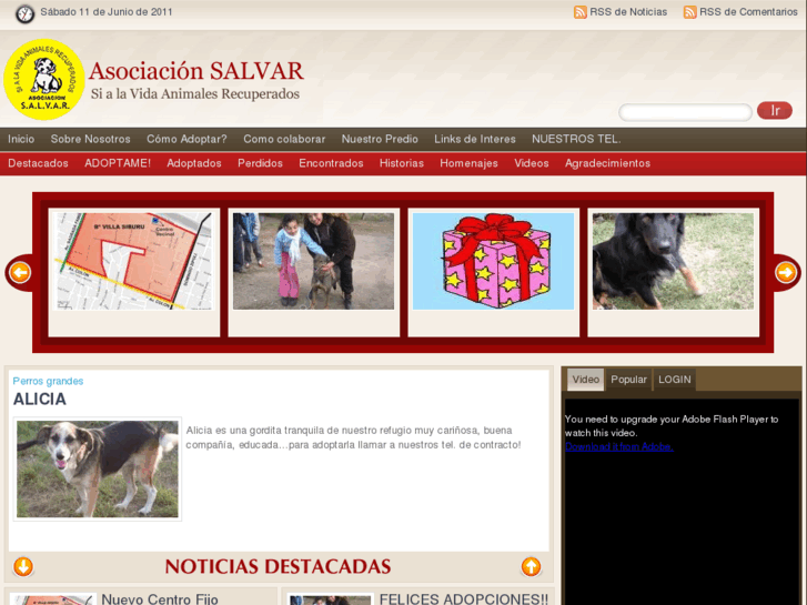 www.asociacion-salvar.com.ar