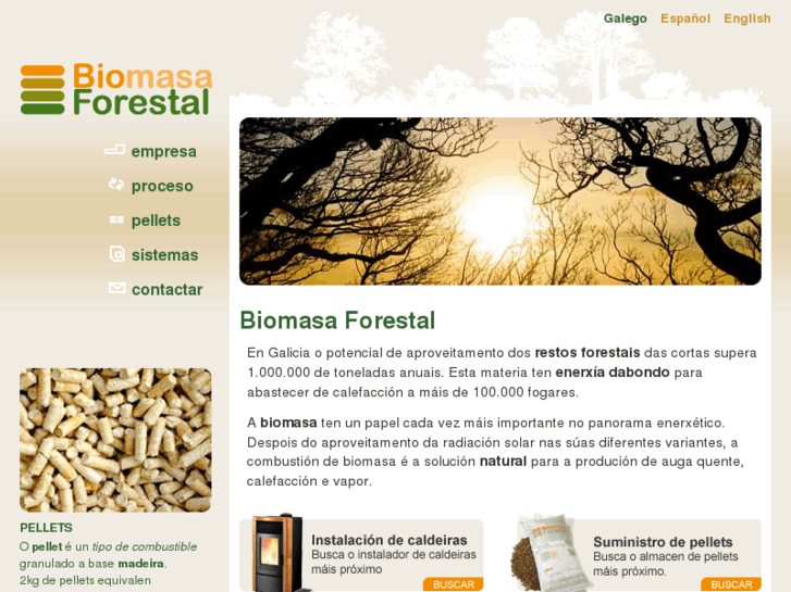 www.bio-forestal.com