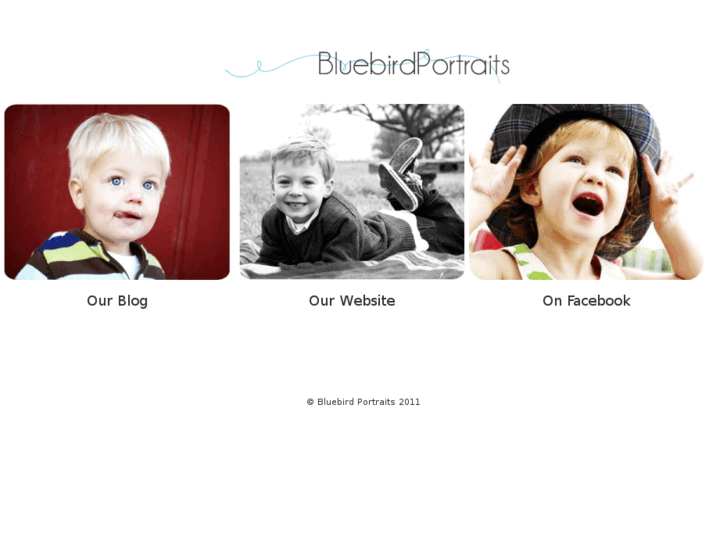 www.bluebirdportraits.com