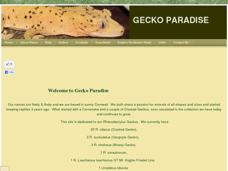 www.gecko-paradise.com