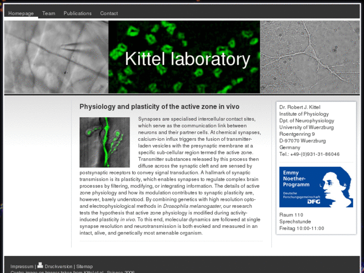 www.kittel-lab.com