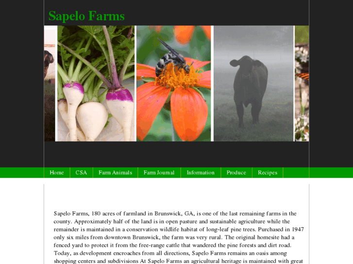 www.sapelofarms.com