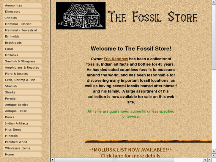 www.thefossilstore.net