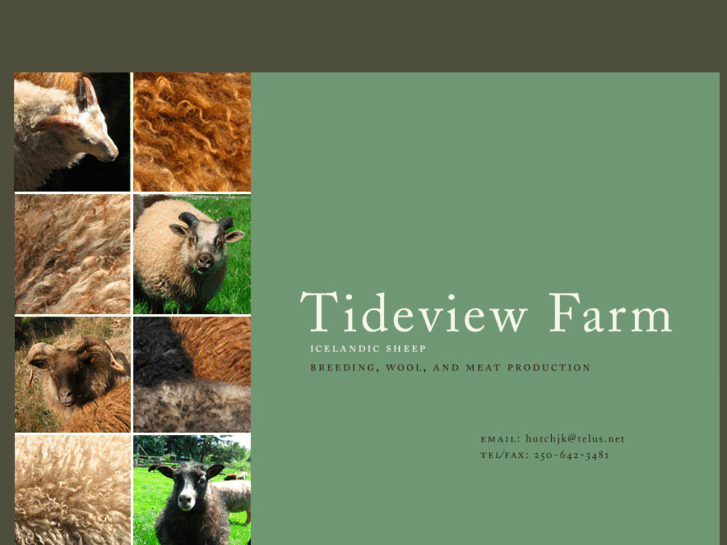 www.tideviewfarm.net