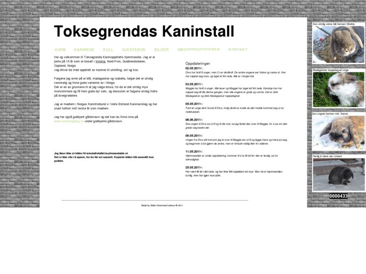 www.toksegrendas.com