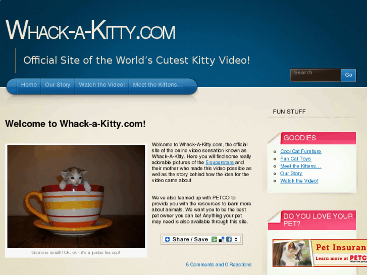 www.whack-a-kitty.com