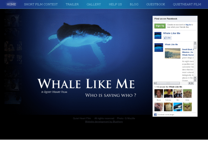 www.whalelikeme.com