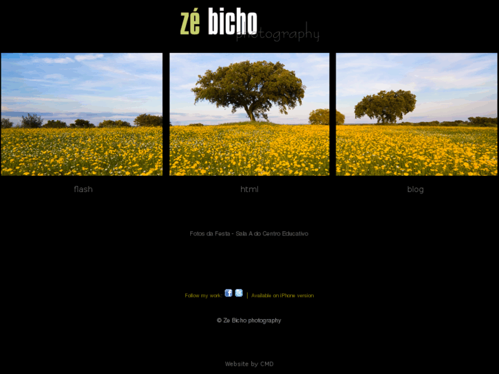 www.zebicho.com